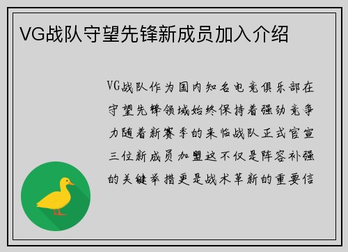 VG战队守望先锋新成员加入介绍