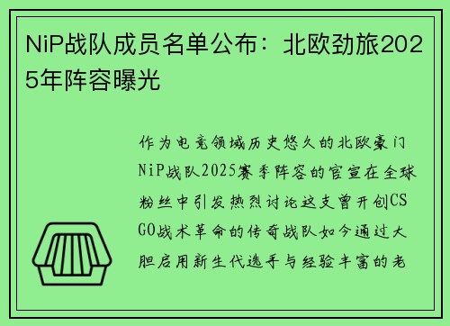 NiP战队成员名单公布：北欧劲旅2025年阵容曝光